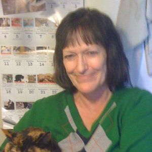 Meet your Posher, Joyce